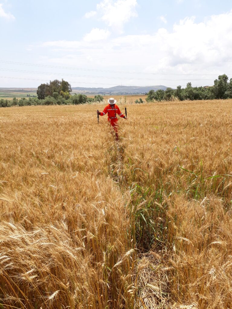 BIL BOTAŞ INTERNATIONAL DCVG SURVEY HİZMET İŞİ TAMAMLANMIŞTIR.