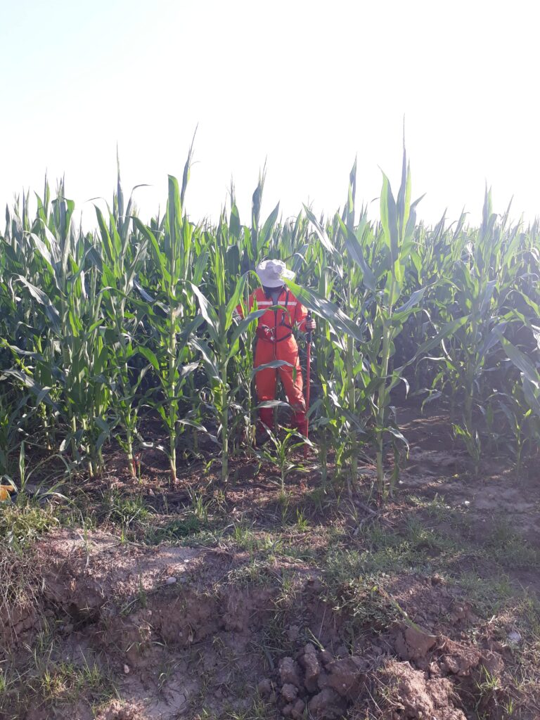 BIL BOTAŞ INTERNATIONAL DCVG SURVEY HİZMET İŞİ TAMAMLANMIŞTIR.