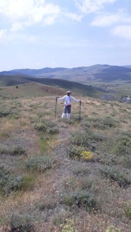 BIL Bakü Tiflis Ceyhan Boru Hattı, DCVG (Doğru Akım Voltaj Granientleri) Survey İşi tamamlanmıştır...