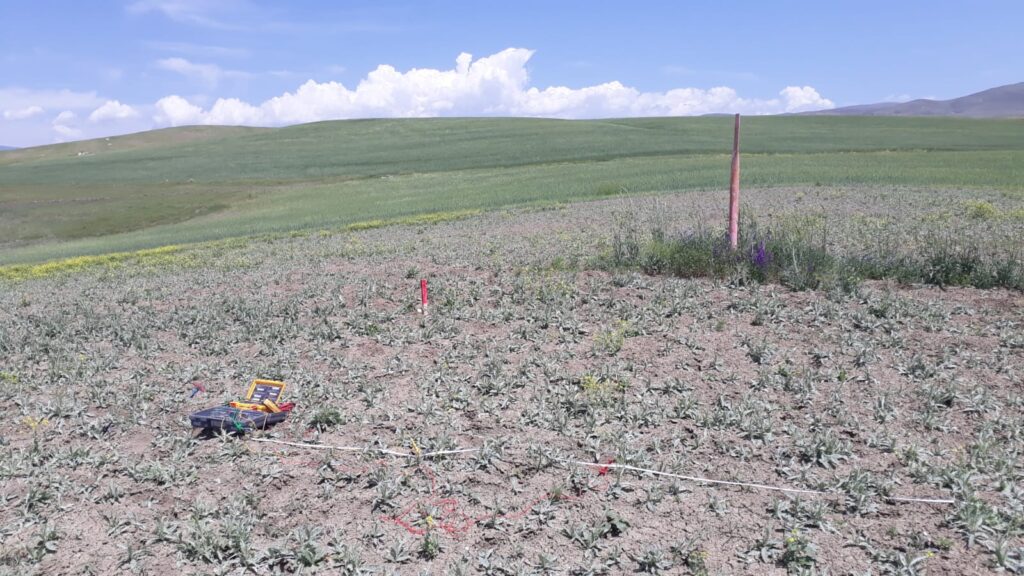 BIL - Bakü Tiflis Ceyhan Boru Hattı DCVG işi tamamlanmıştır.