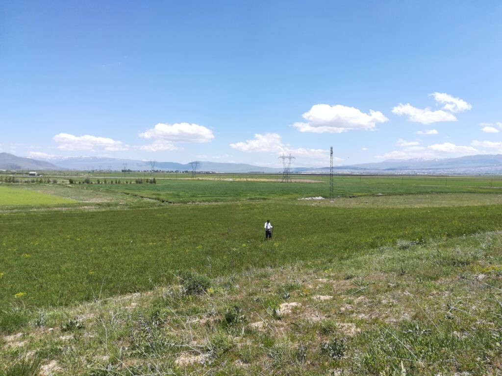 BIL - Bakü Tiflis Ceyhan Boru Hattı DCVG işi tamamlanmıştır.