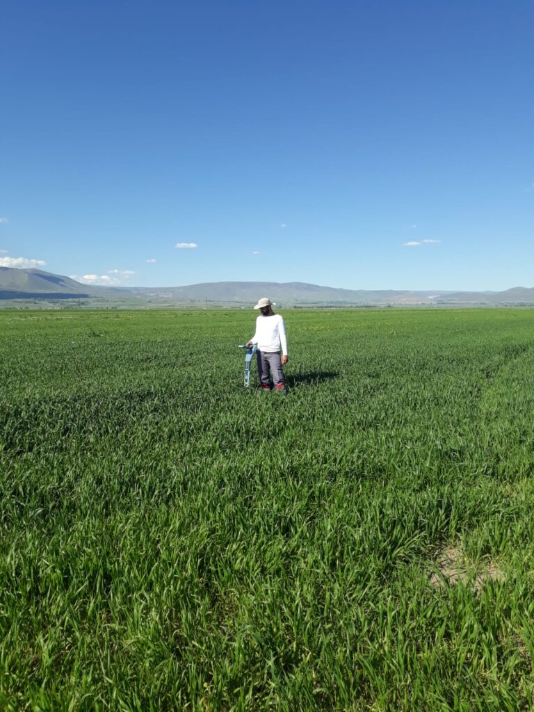 BIL - Bakü Tiflis Ceyhan Boru Hattı DCVG işi tamamlanmıştır.